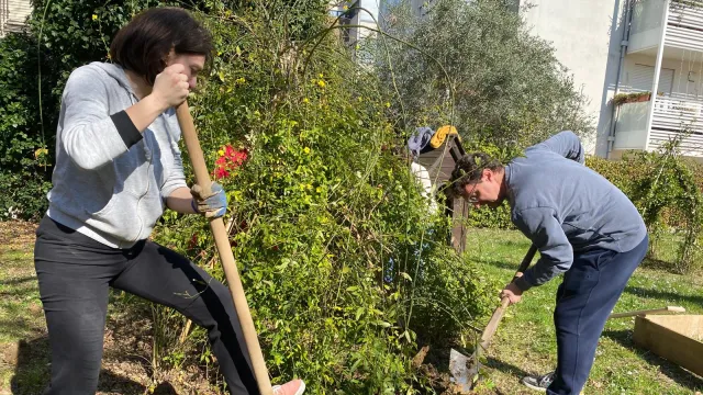 il labirinto fiorito - Giardiniere civiche