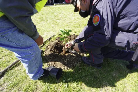 A San Salvatore il germoglio dell’Albero della Pace grazie ai bambini della scuola primaria e al gruppo CIVIVO