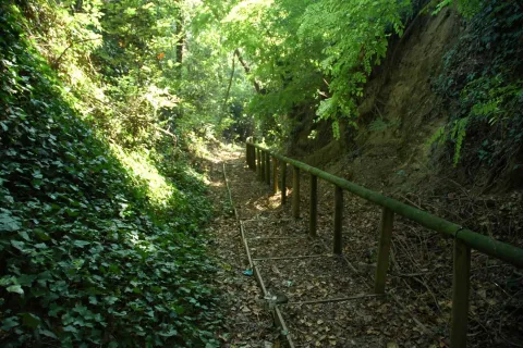 Percorsi a Covignano