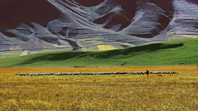 Italo Di Fabio: fotoamatore o fotoinnovatore