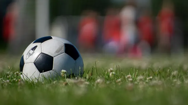 palla da calcio