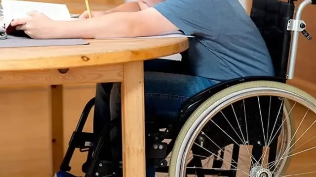 Alunno con disabilità