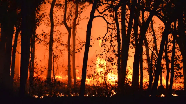incendio boschivo