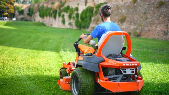 Manutenzione e cura del verde pubblico