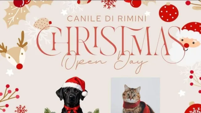 locandina open day canile stefano cerni 13 dic 25