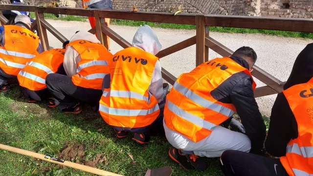 volontari civivo a lavoro