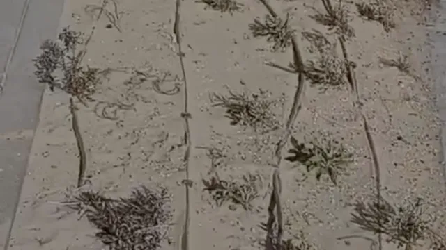 atto vandalico tratto 7 lungomare