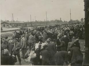 ebrei sbarcano a Birkenau da un convoglio di deportazione