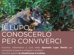 dall’8 ottobre il ciclo di incontri ‘Il lupo: conoscerlo per conviverci