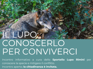 dall’8 ottobre il ciclo di incontri ‘Il lupo: conoscerlo per conviverci