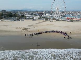 liberazione tartaruga spiaggia