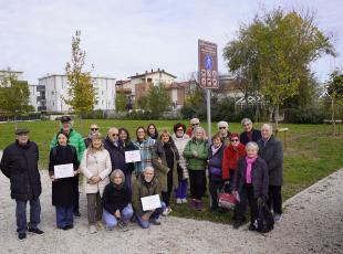 giornata dell'albero 2024