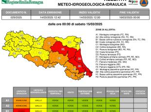 allerta n. 29/2025 -2